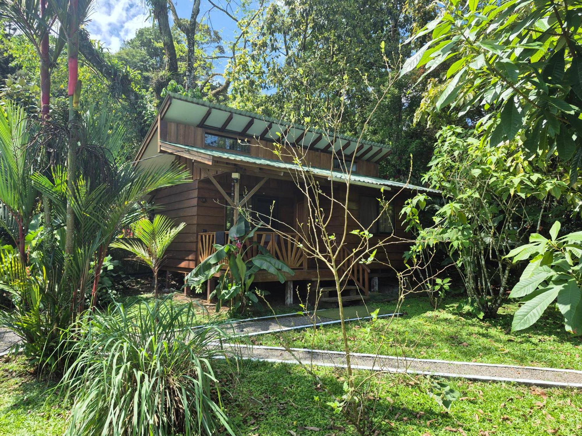 Bed and Breakfast Centro Ananda à Guápiles Extérieur photo